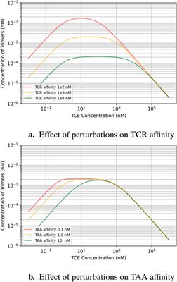 T-cell engagers: model interrogation as a tool to quantify the interplay of relative affinity and target expression on trimer formation